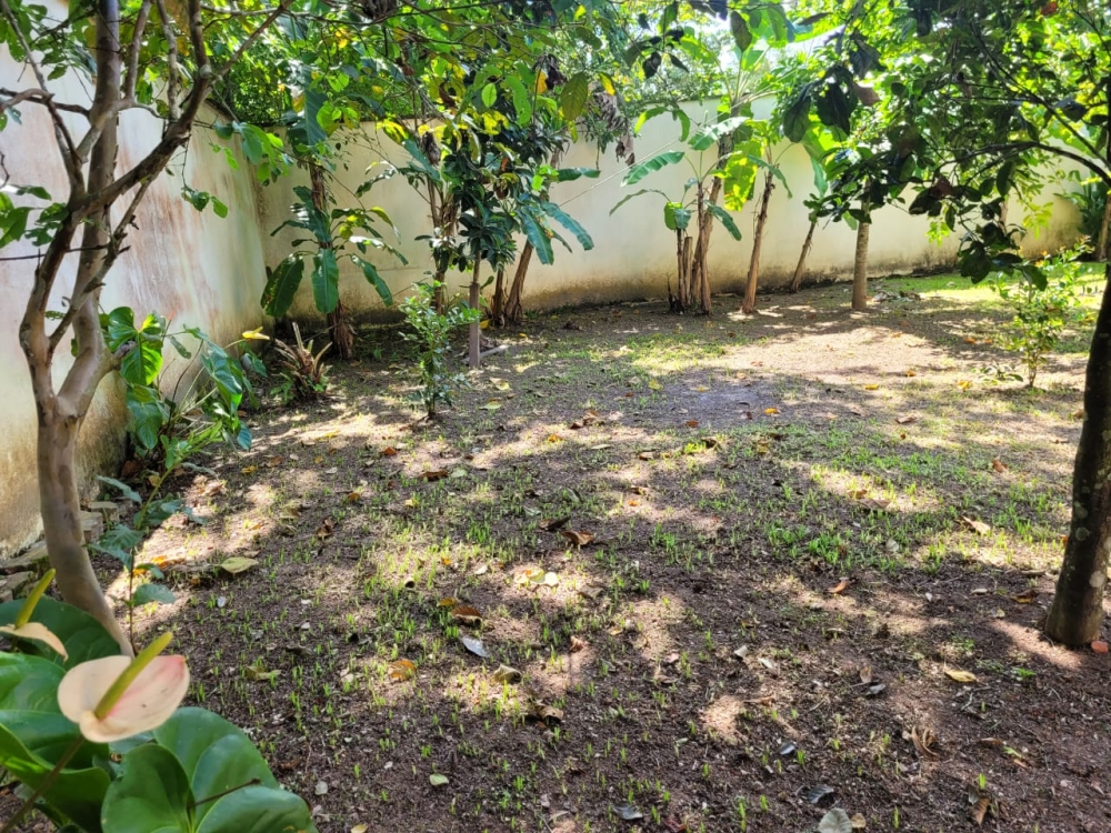 LINDA CHÁCARA NO BAIRRO JARDIM